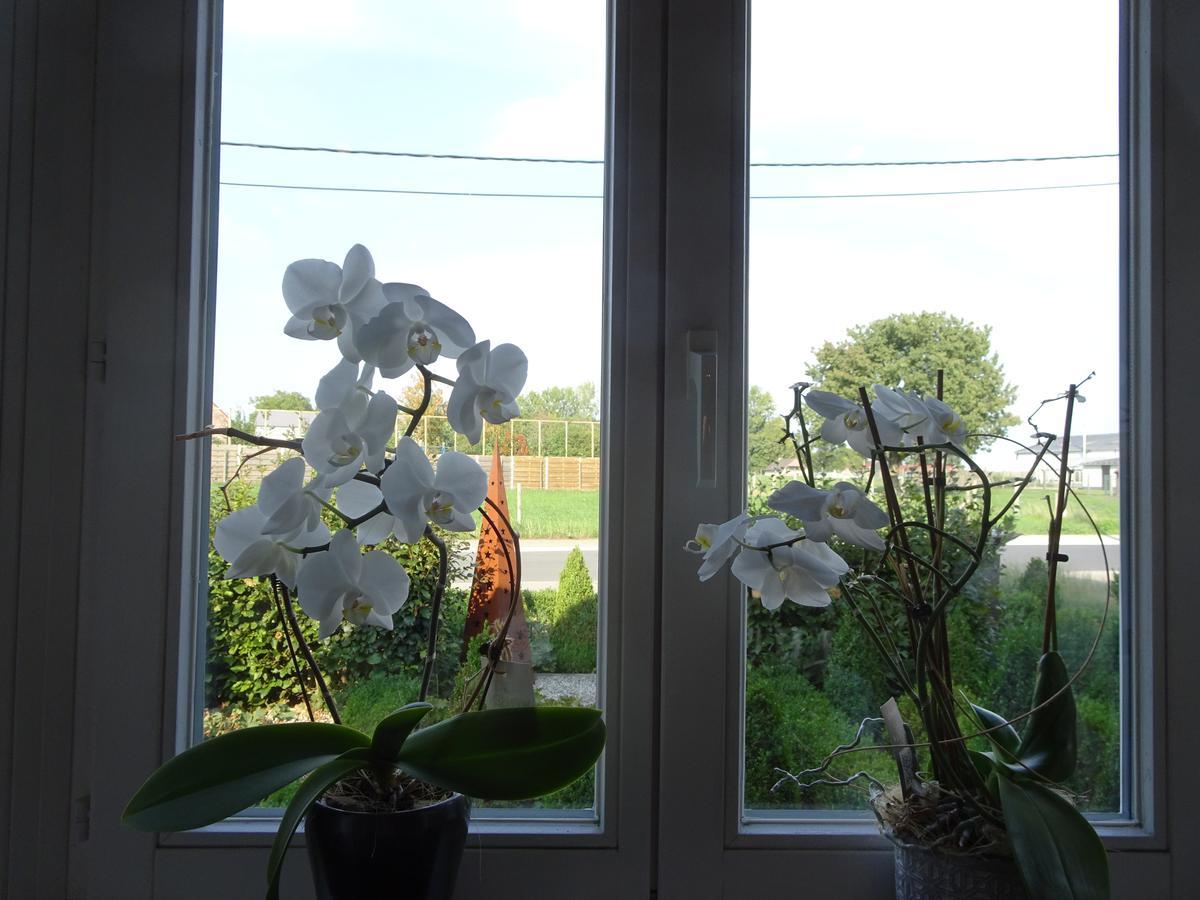 Chalet Buistemberg Villa Brakel Esterno foto
